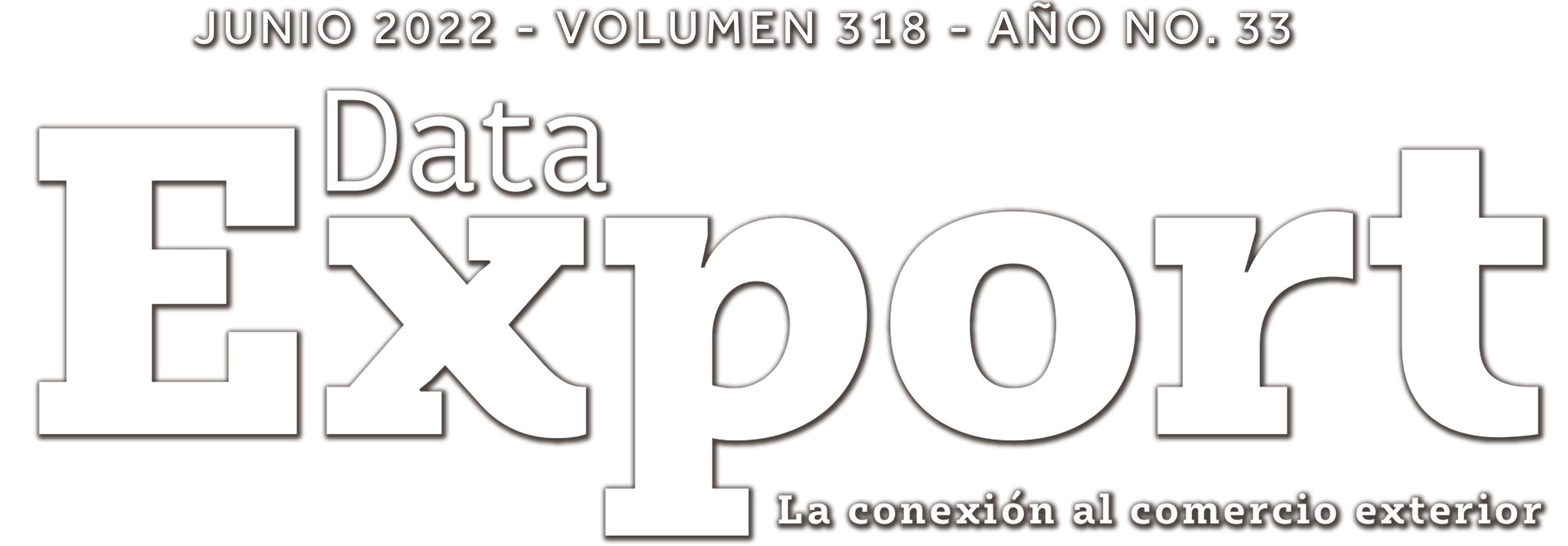 DataExport Revista Digital
